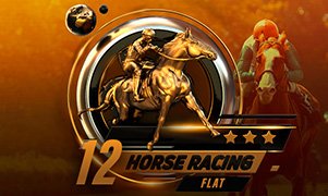 12 horse racing flat